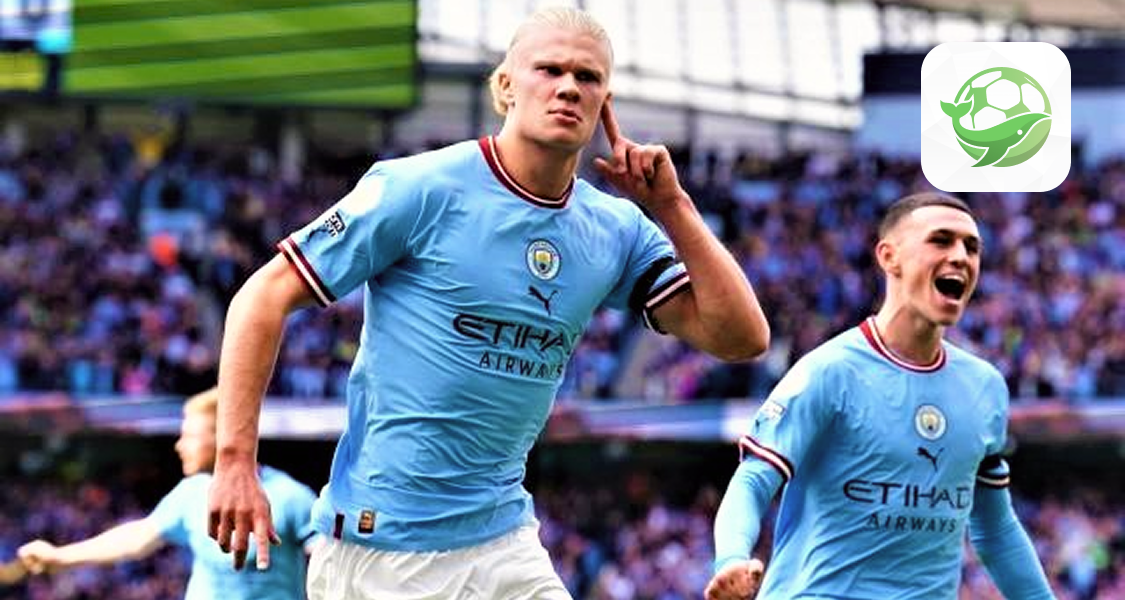 鲸鱼体育